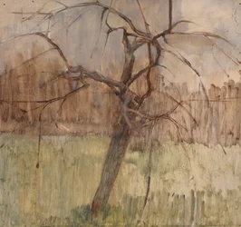 Appelboom